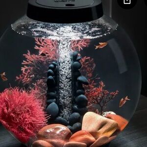 Decorative Fish Bowl with Red and Black Accents